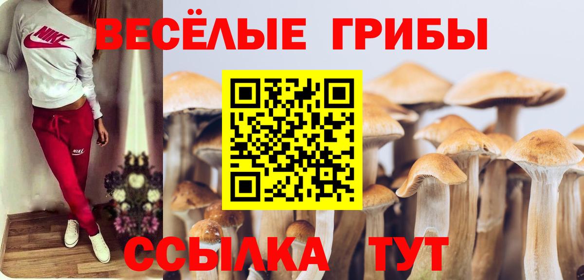 Галлюциногенные грибы ЛСД  Галлюциногенные грибы Cubensis  Гудермес  Вход с VPN 