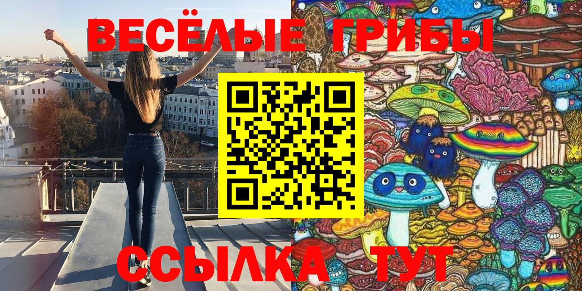 Псилоцибиновые грибы GOLDEN TEACHER Гудермес